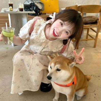 四季之春封面