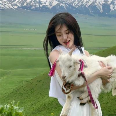 高丽葬封面